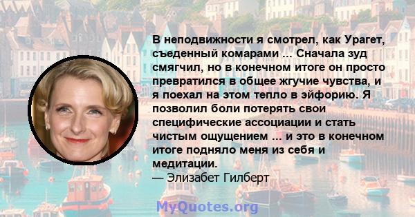 В неподвижности я смотрел, как Урагет, съеденный комарами ... Сначала зуд смягчил, но в конечном итоге он просто превратился в общее жгучие чувства, и я поехал на этом тепло в эйфорию. Я позволил боли потерять свои