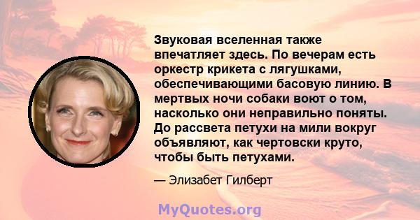 Звуковая вселенная также впечатляет здесь. По вечерам есть оркестр крикета с лягушками, обеспечивающими басовую линию. В мертвых ночи собаки воют о том, насколько они неправильно поняты. До рассвета петухи на мили