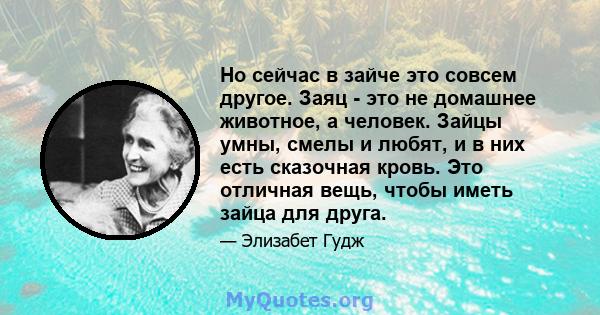 Но сейчас в зайче это совсем другое. Заяц - это не домашнее животное, а человек. Зайцы умны, смелы и любят, и в них есть сказочная кровь. Это отличная вещь, чтобы иметь зайца для друга.