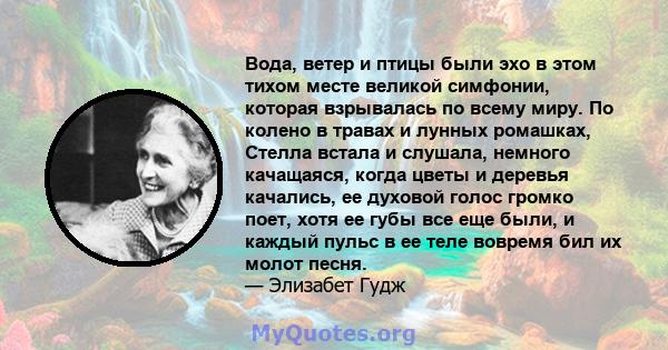 Вода, ветер и птицы были эхо в этом тихом месте великой симфонии, которая взрывалась по всему миру. По колено в травах и лунных ромашках, Стелла встала и слушала, немного качащаяся, когда цветы и деревья качались, ее