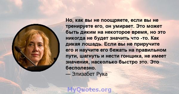 Но, как вы не поощряете, если вы не тренируете его, он умирает. Это может быть диким на некоторое время, но это никогда не будет значить что -то. Как дикая лошадь. Если вы не приручите его и научите его бежать на