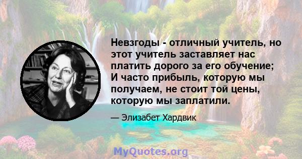 Невзгоды - отличный учитель, но этот учитель заставляет нас платить дорого за его обучение; И часто прибыль, которую мы получаем, не стоит той цены, которую мы заплатили.