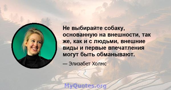 Не выбирайте собаку, основанную на внешности, так же, как и с людьми, внешние виды и первые впечатления могут быть обманывают.