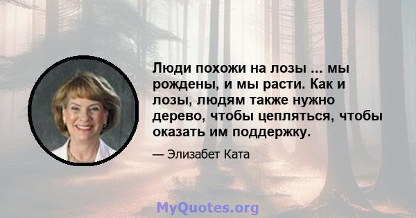 Люди похожи на лозы ... мы рождены, и мы расти. Как и лозы, людям также нужно дерево, чтобы цепляться, чтобы оказать им поддержку.