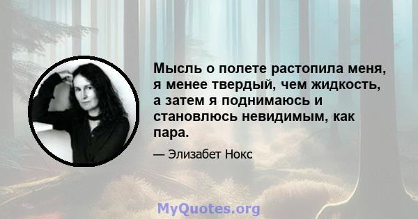 Мысль о полете растопила меня, я менее твердый, чем жидкость, а затем я поднимаюсь и становлюсь невидимым, как пара.