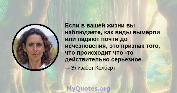 Если в вашей жизни вы наблюдаете, как виды вымерли или падают почти до исчезновения, это признак того, что происходит что -то действительно серьезное.