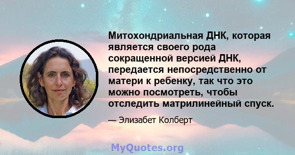 Митохондриальная ДНК, которая является своего рода сокращенной версией ДНК, передается непосредственно от матери к ребенку, так что это можно посмотреть, чтобы отследить матрилинейный спуск.