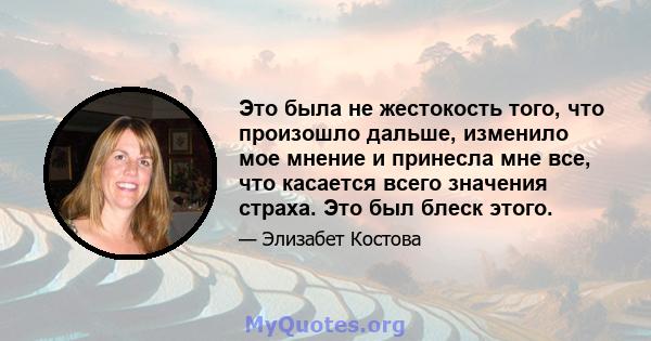 Это была не жестокость того, что произошло дальше, изменило мое мнение и принесла мне все, что касается всего значения страха. Это был блеск этого.