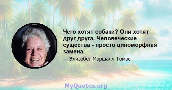 Чего хотят собаки? Они хотят друг друга. Человеческие существа - просто циноморфная замена.