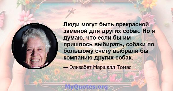 Люди могут быть прекрасной заменой для других собак. Но я думаю, что если бы им пришлось выбирать, собаки по большому счету выбрали бы компанию других собак.