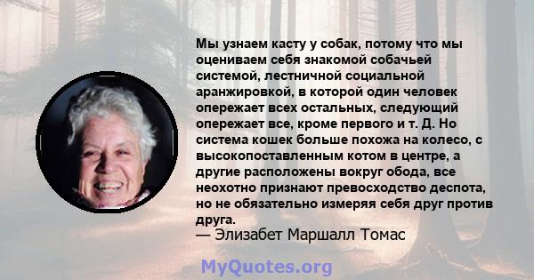 Мы узнаем касту у собак, потому что мы оцениваем себя знакомой собачьей системой, лестничной социальной аранжировкой, в которой один человек опережает всех остальных, следующий опережает все, кроме первого и т. Д. Но