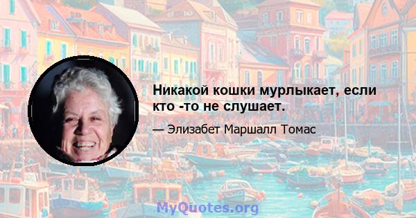 Никакой кошки мурлыкает, если кто -то не слушает.