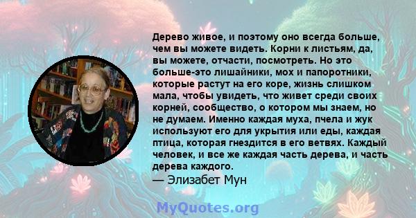 Дерево живое, и поэтому оно всегда больше, чем вы можете видеть. Корни к листьям, да, вы можете, отчасти, посмотреть. Но это больше-это лишайники, мох и папоротники, которые растут на его коре, жизнь слишком мала, чтобы 