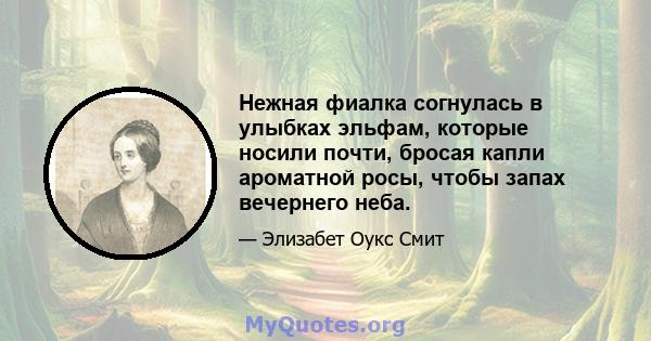 Нежная фиалка согнулась в улыбках эльфам, которые носили почти, бросая капли ароматной росы, чтобы запах вечернего неба.