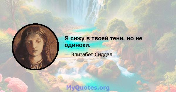 Я сижу в твоей тени, но не одиноки.