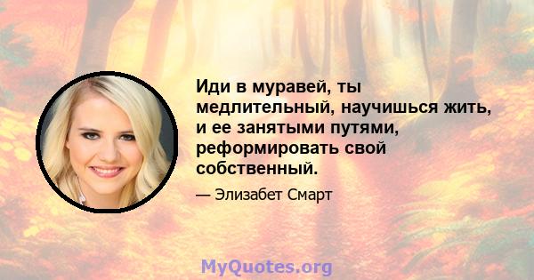 Иди в муравей, ты медлительный, научишься жить, и ее занятыми путями, реформировать свой собственный.