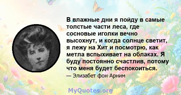 В влажные дни я пойду в самые толстые части леса, где сосновые иголки вечно высохнут, и когда солнце светит, я лежу на Хит и посмотрю, как метла вспыхивает на облаках. Я буду постоянно счастлив, потому что меня будет