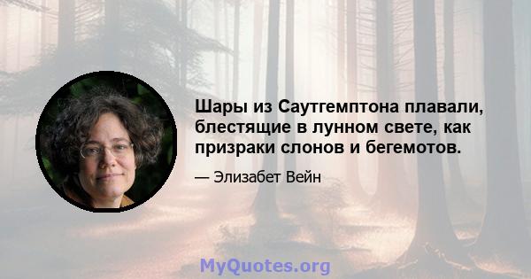 Шары из Саутгемптона плавали, блестящие в лунном свете, как призраки слонов и бегемотов.