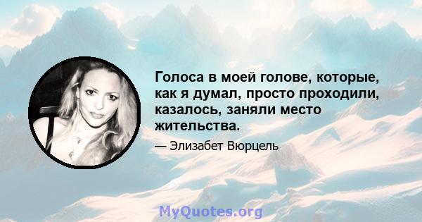 Голоса в моей голове, которые, как я думал, просто проходили, казалось, заняли место жительства.