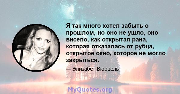 Я так много хотел забыть о прошлом, но оно не ушло, оно висело, как открытая рана, которая отказалась от рубца, открытое окно, которое не могло закрыться.