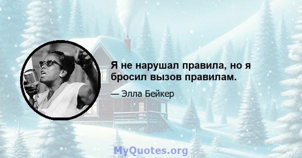 Я не нарушал правила, но я бросил вызов правилам.