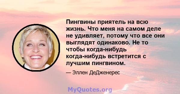 Пингвины приятель на всю жизнь. Что меня на самом деле не удивляет, потому что все они выглядят одинаково. Не то чтобы когда-нибудь когда-нибудь встретится с лучшим пингвином.