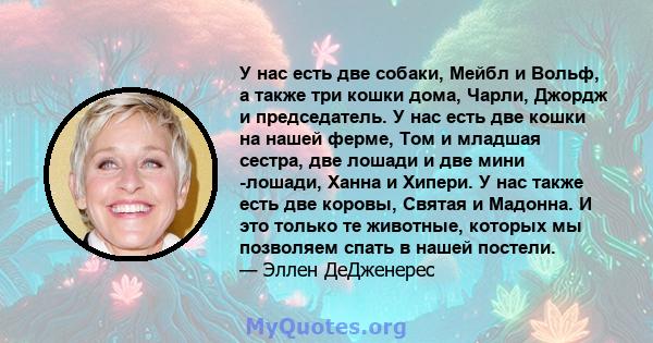 У нас есть две собаки, Мейбл и Вольф, а также три кошки дома, Чарли, Джордж и председатель. У нас есть две кошки на нашей ферме, Том и младшая сестра, две лошади и две мини -лошади, Ханна и Хипери. У нас также есть две