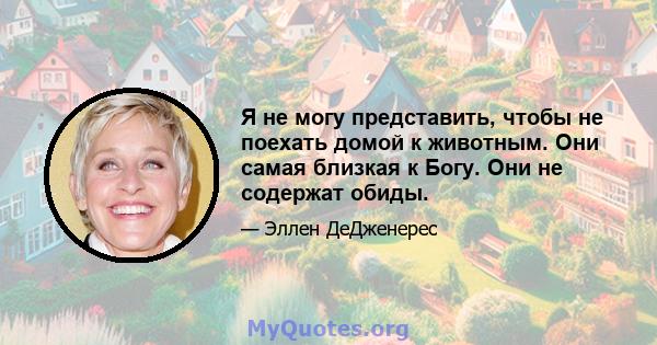 Я не могу представить, чтобы не поехать домой к животным. Они самая близкая к Богу. Они не содержат обиды.