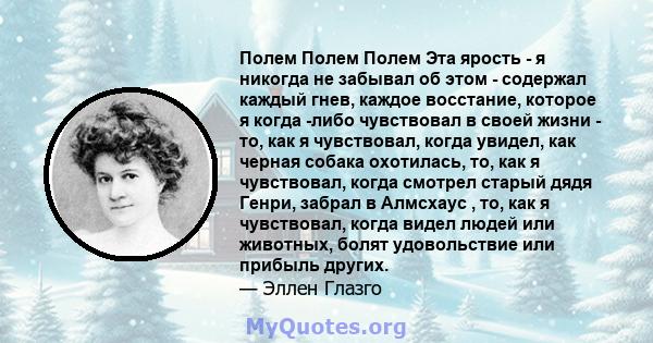 Полем Полем Полем Эта ярость - я никогда не забывал об этом - содержал каждый гнев, каждое восстание, которое я когда -либо чувствовал в своей жизни - то, как я чувствовал, когда увидел, как черная собака охотилась, то, 