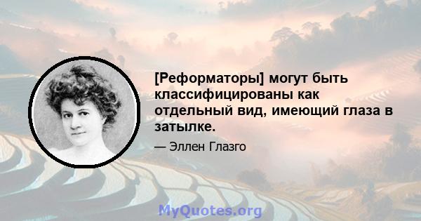 [Реформаторы] могут быть классифицированы как отдельный вид, имеющий глаза в затылке.