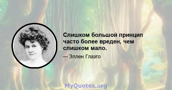 Слишком большой принцип часто более вреден, чем слишком мало.