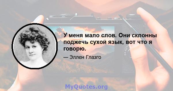 У меня мало слов. Они склонны поджечь сухой язык, вот что я говорю.