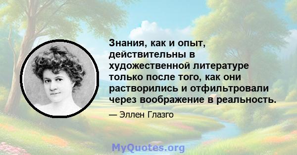 Знания, как и опыт, действительны в художественной литературе только после того, как они растворились и отфильтровали через воображение в реальность.