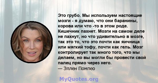 Это грубо. Мы используем настоящие мозги - я думаю, что они баранины, корова или что -то в этом роде. Кишечник пахнет. Мозги на самом деле не пахнут, но что удивительно в мозге, так это то, что это почти как яичница или 