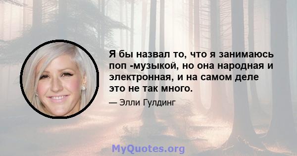 Я бы назвал то, что я занимаюсь поп -музыкой, но она народная и электронная, и на самом деле это не так много.