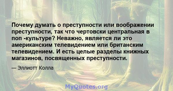 Почему думать о преступности или воображении преступности, так что чертовски центральная в поп -культуре? Неважно, является ли это американским телевидением или британским телевидением. И есть целые разделы книжных