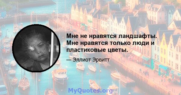 Мне не нравятся ландшафты. Мне нравятся только люди и пластиковые цветы.