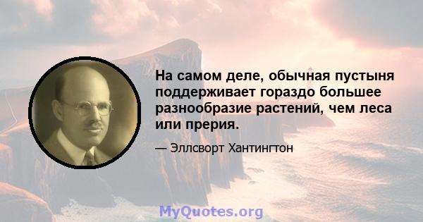 На самом деле, обычная пустыня поддерживает гораздо большее разнообразие растений, чем леса или прерия.