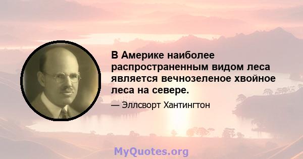 В Америке наиболее распространенным видом леса является вечнозеленое хвойное леса на севере.