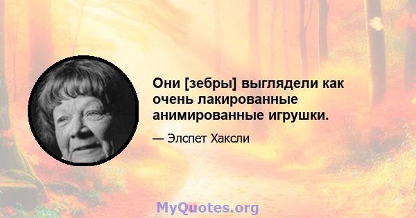 Они [зебры] выглядели как очень лакированные анимированные игрушки.