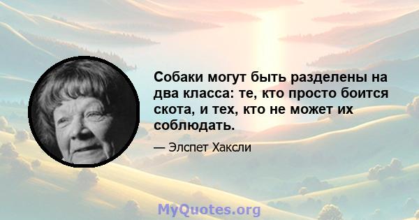 Собаки могут быть разделены на два класса: те, кто просто боится скота, и тех, кто не может их соблюдать.