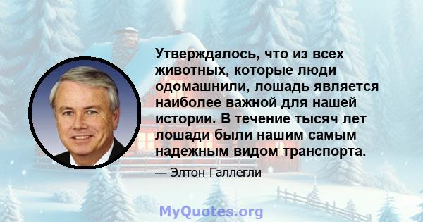 Утверждалось, что из всех животных, которые люди одомашнили, лошадь является наиболее важной для нашей истории. В течение тысяч лет лошади были нашим самым надежным видом транспорта.