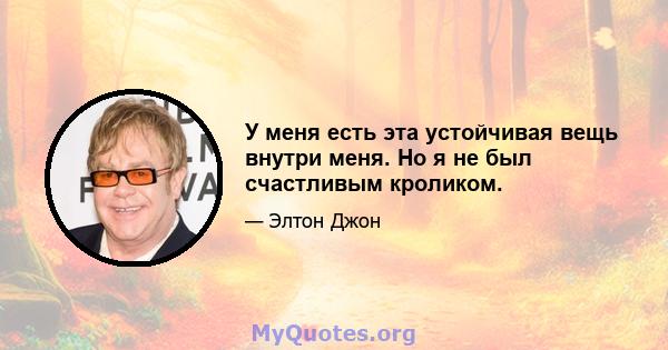 У меня есть эта устойчивая вещь внутри меня. Но я не был счастливым кроликом.