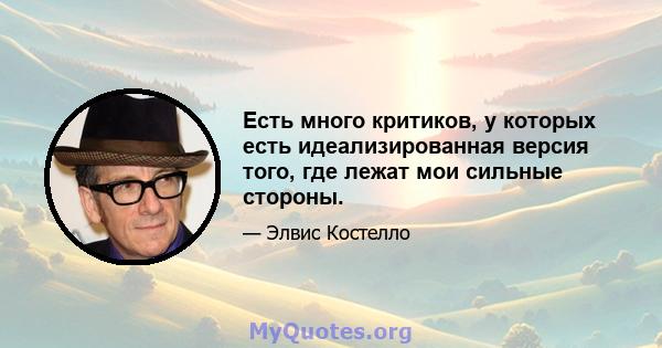 Есть много критиков, у которых есть идеализированная версия того, где лежат мои сильные стороны.