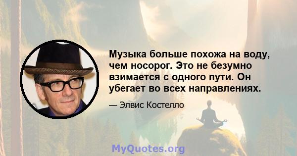 Музыка больше похожа на воду, чем носорог. Это не безумно взимается с одного пути. Он убегает во всех направлениях.