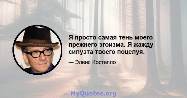 Я просто самая тень моего прежнего эгоизма. Я жажду силуэта твоего поцелуя.