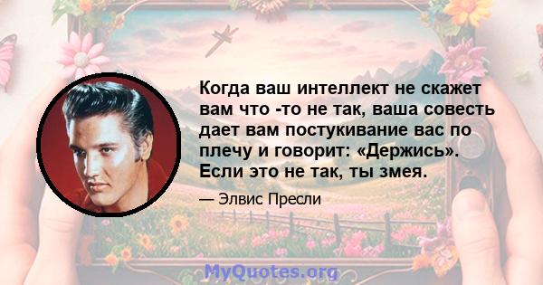 Когда ваш интеллект не скажет вам что -то не так, ваша совесть дает вам постукивание вас по плечу и говорит: «Держись». Если это не так, ты змея.