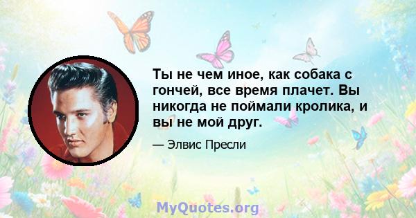 Ты не чем иное, как собака с гончей, все время плачет. Вы никогда не поймали кролика, и вы не мой друг.