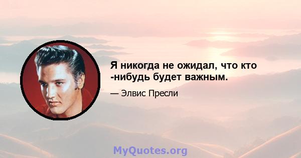 Я никогда не ожидал, что кто -нибудь будет важным.