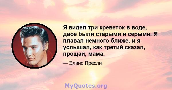 Я видел три креветок в воде, двое были старыми и серыми. Я плавал немного ближе, и я услышал, как третий сказал, прощай, мама.